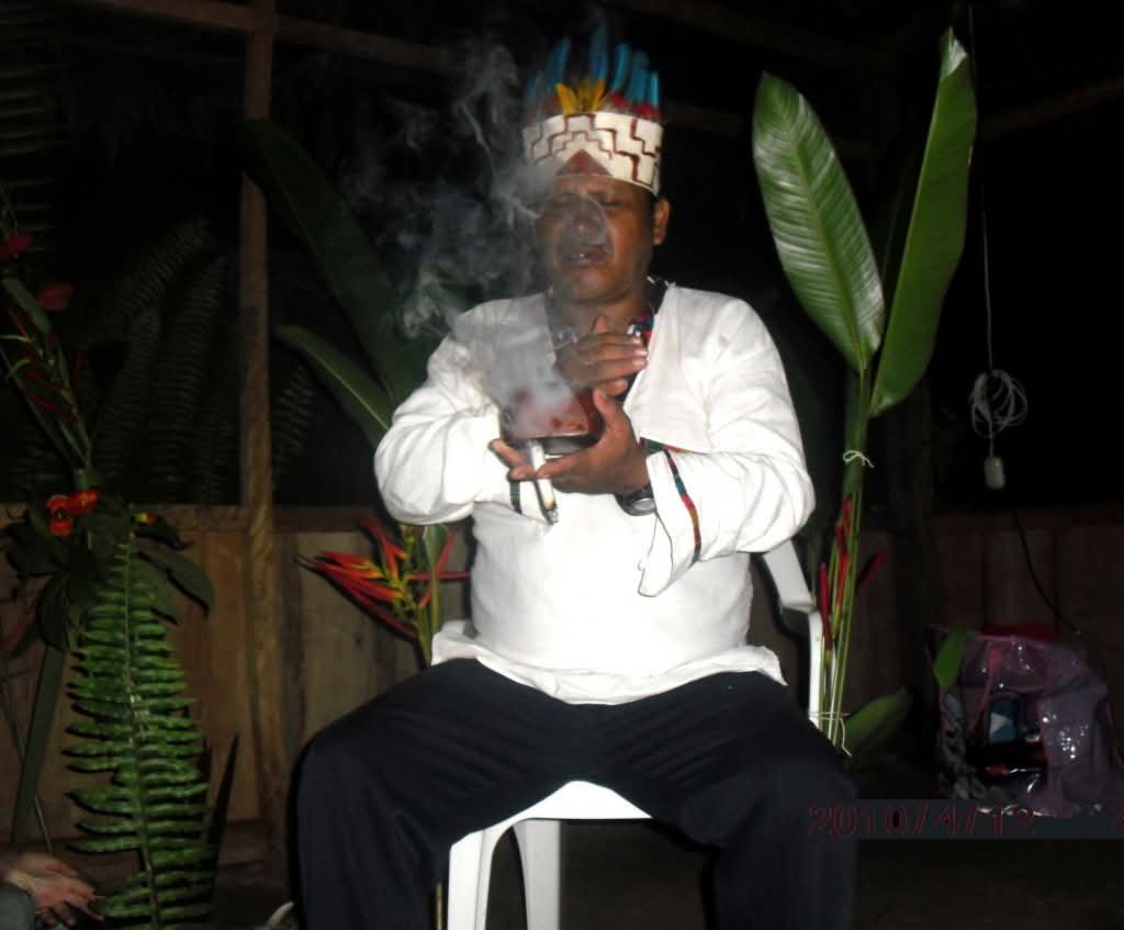 master shaman luis rimachi ayahuasva retreat peru