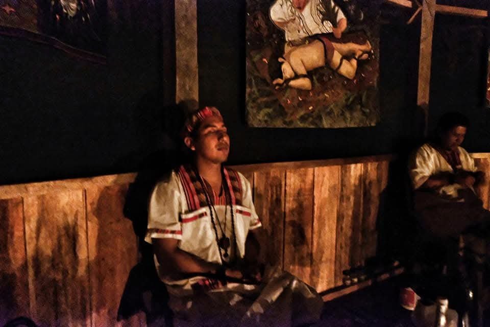 ayahuasca retreat in iquitos peru booking ayahuasca retreat peru