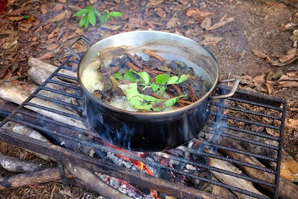 ayahuasca retreat in iquitos peru ayahuasca brew